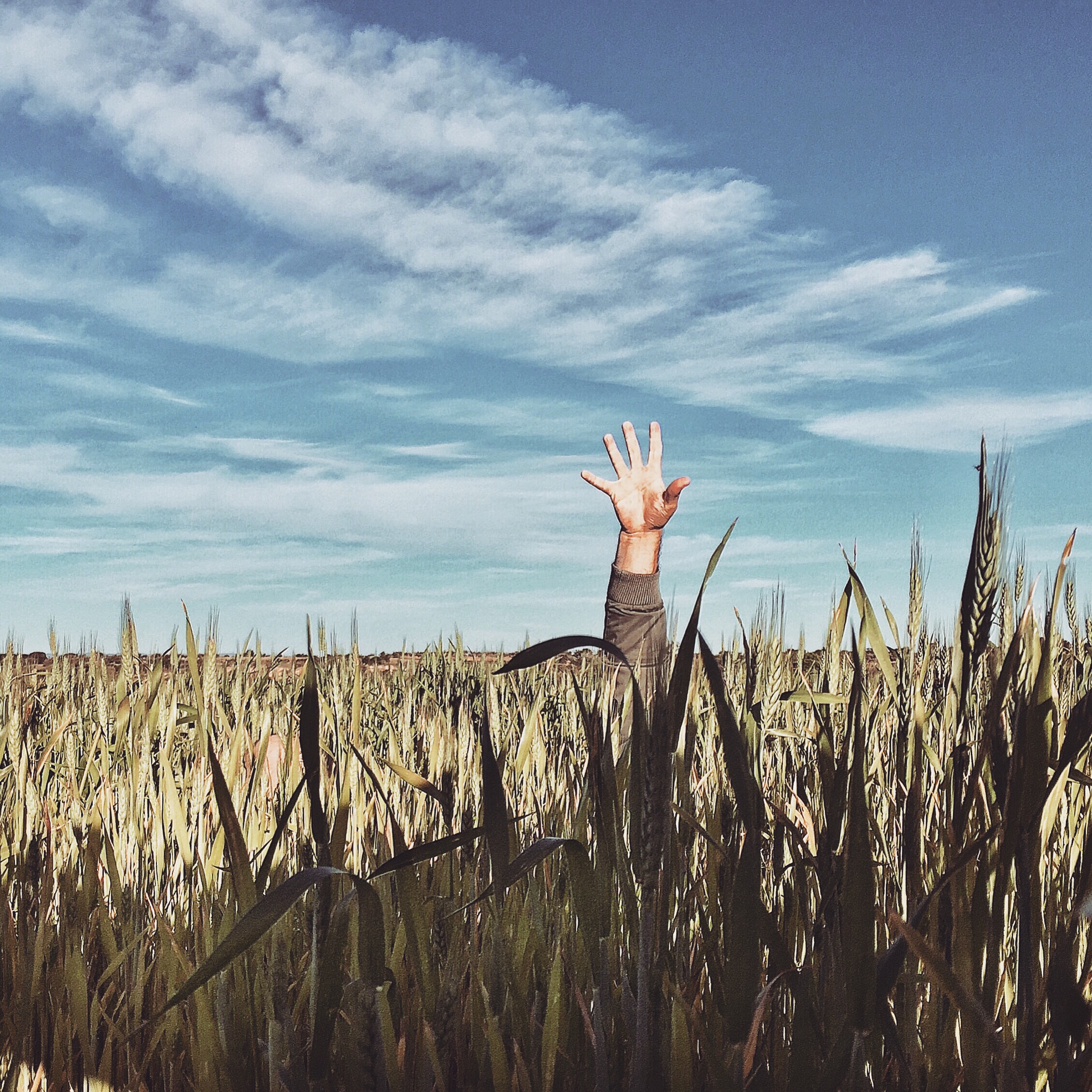 Processed with VSCO with a4 preset